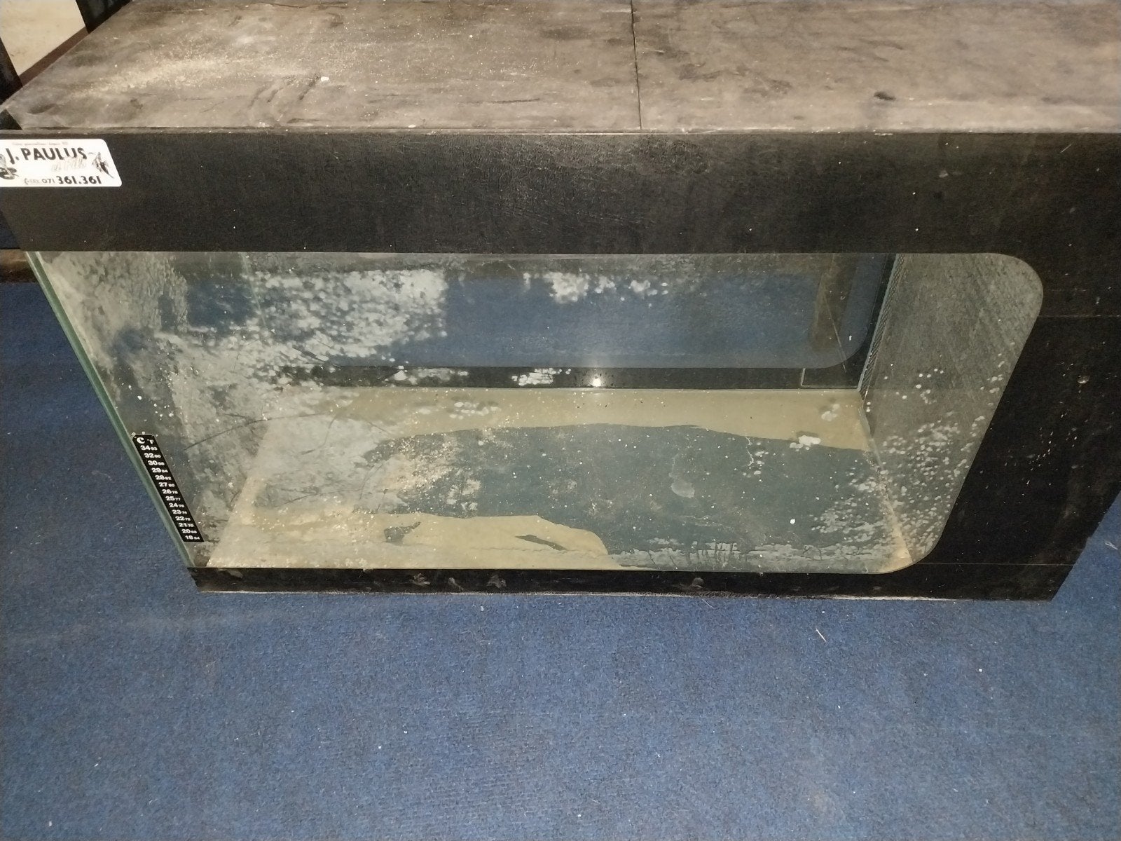 Aquarium, Animaux & Accessoires, Enlèvement