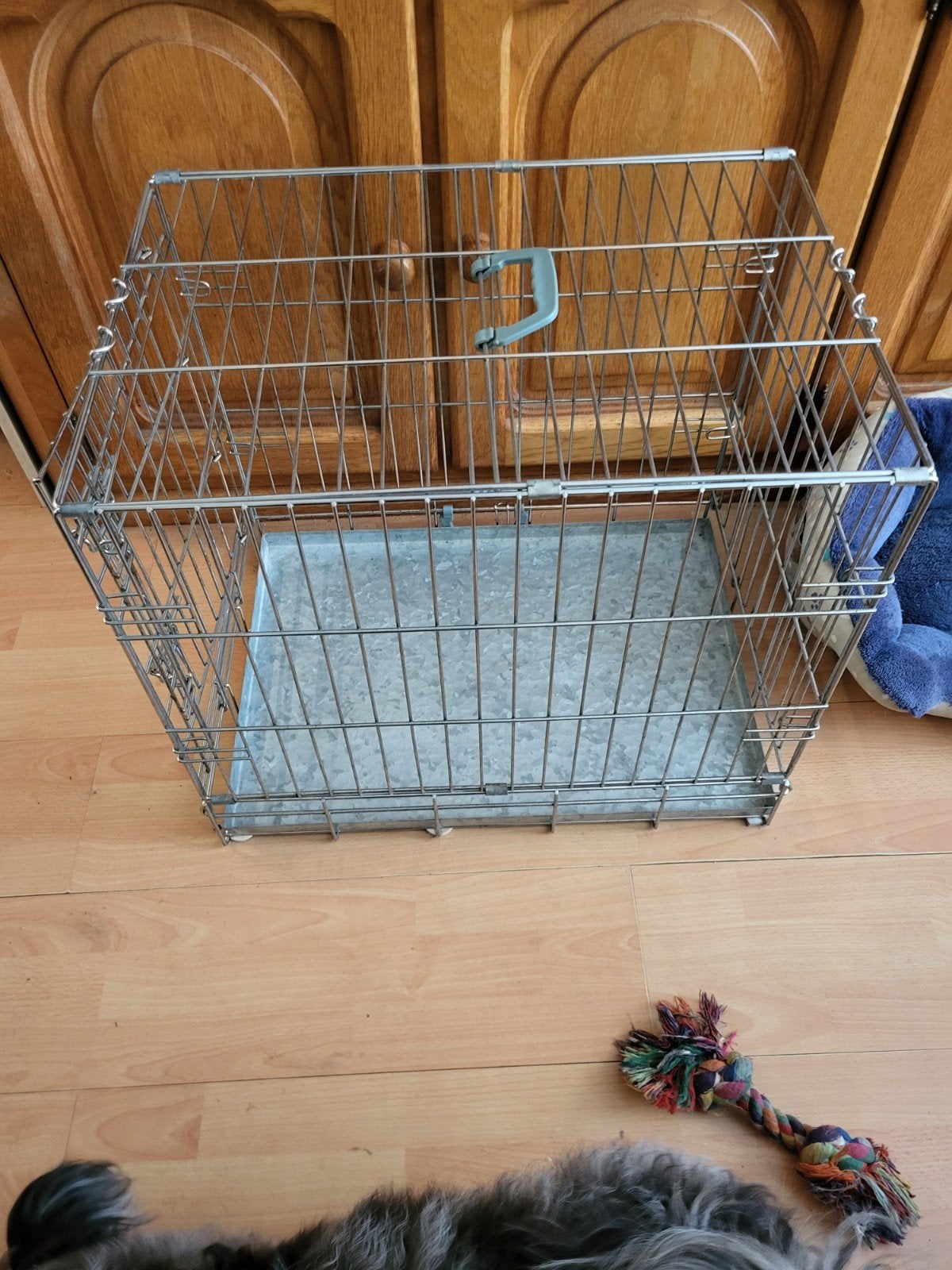 BENCH voor middel grote hond, Dieren en Toebehoren, Ophalen