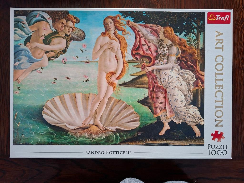 puzzel 1000 stuks, Hobby en Vrije tijd, Ophalen of Verzenden, 500 t/m 1500 stukjes, Zo goed als nieuw, Legpuzzel