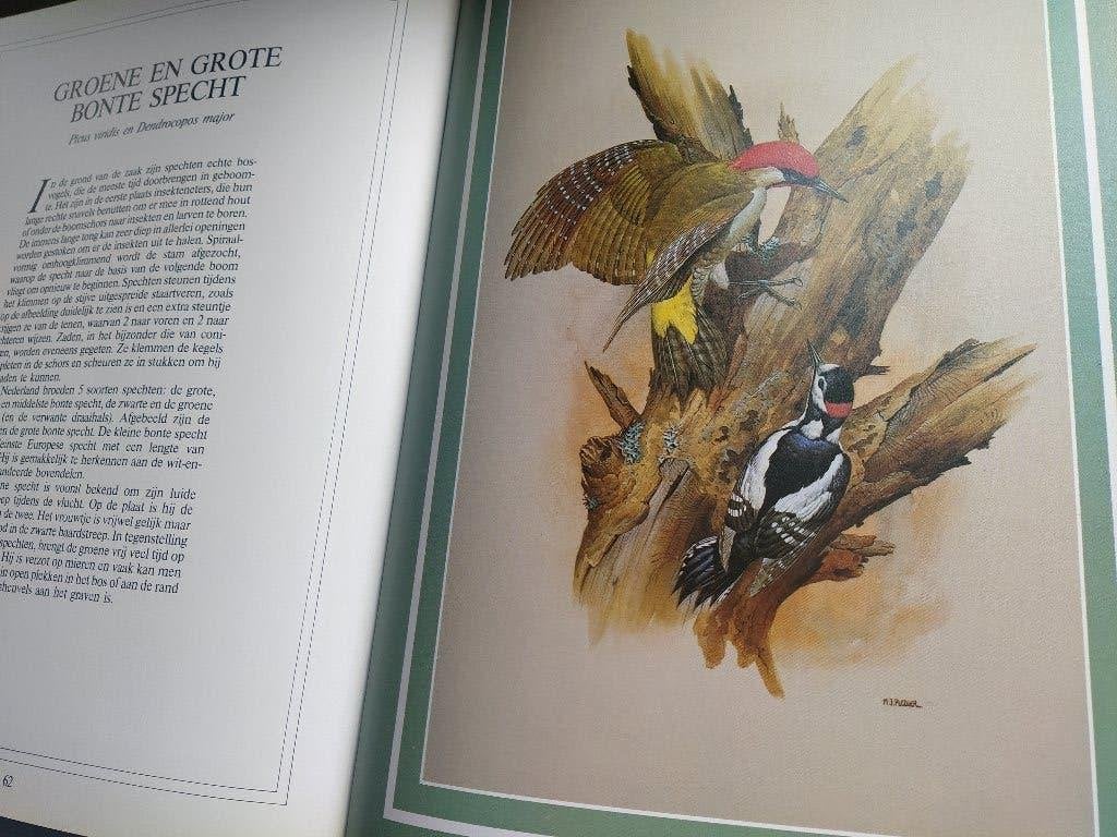 boek: vogelpracht in 24 artistieke afbeeldingen, Livres, Animaux & Animaux domestiques, Enlèvement ou Envoi, Utilisé, Oiseaux