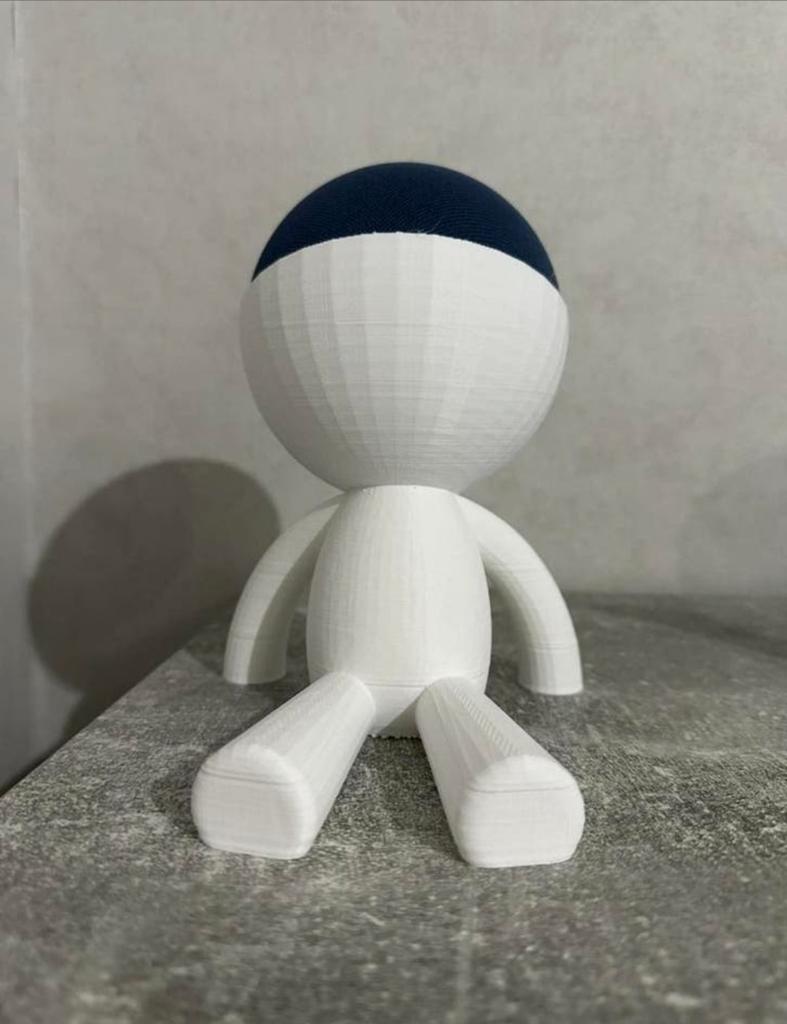 Alexa support, Ophalen