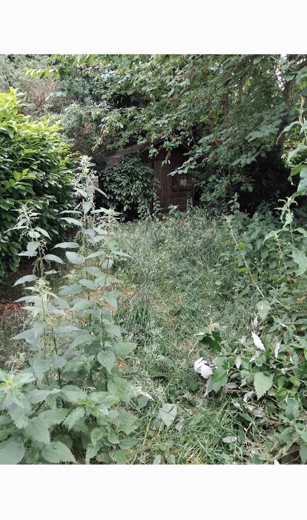 Jardinier, Enlèvement