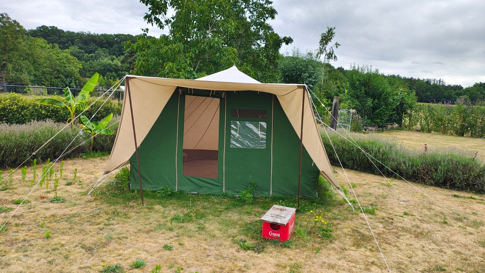 De waard albatros junior, Caravans en Kamperen, Tenten, Ophalen