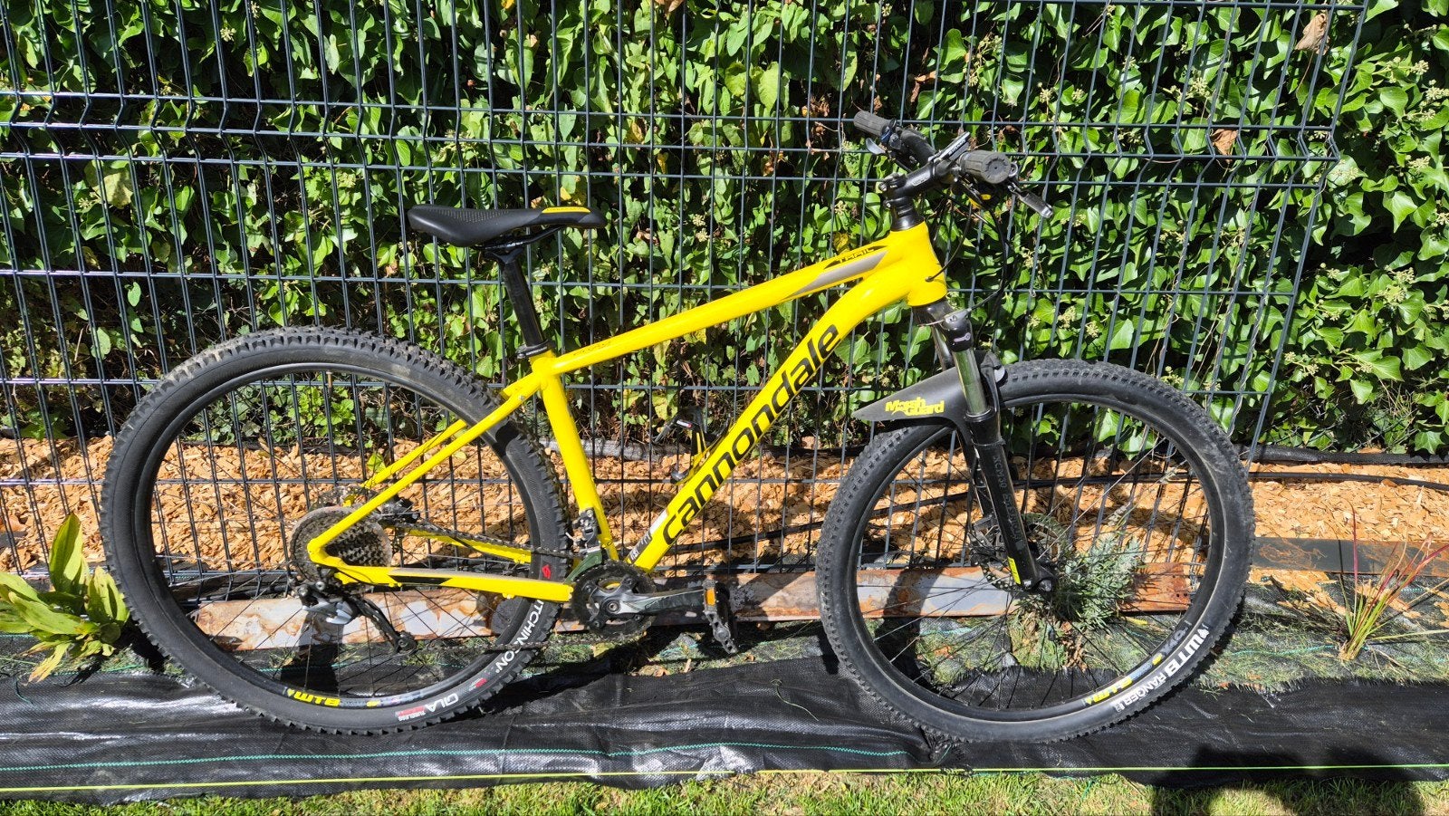 VTT cannondale Trail 6 M très bon état, Hardtail, Zo goed als nieuw, Schijfrem, Ophalen