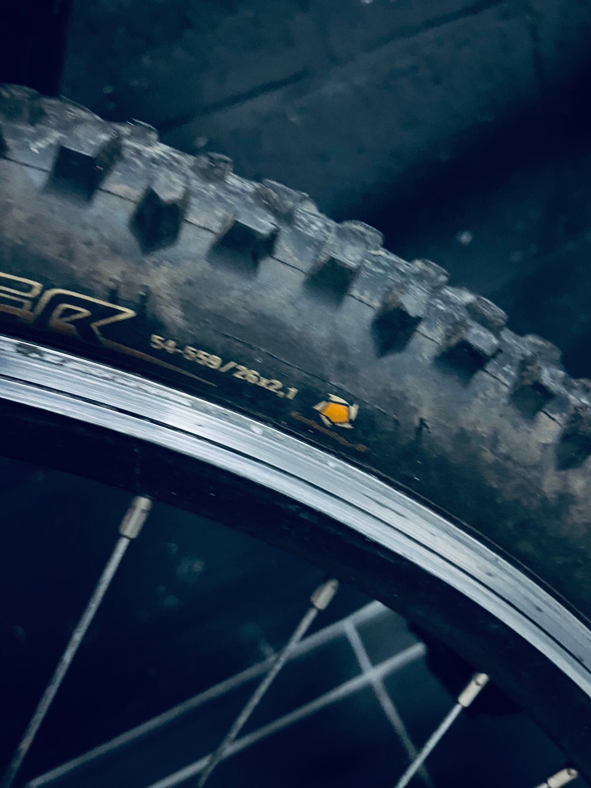 Minerva mountainbike