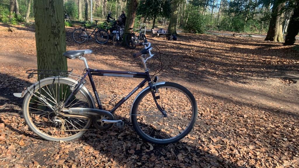 vélo pour homme, Enlèvement, Utilisé