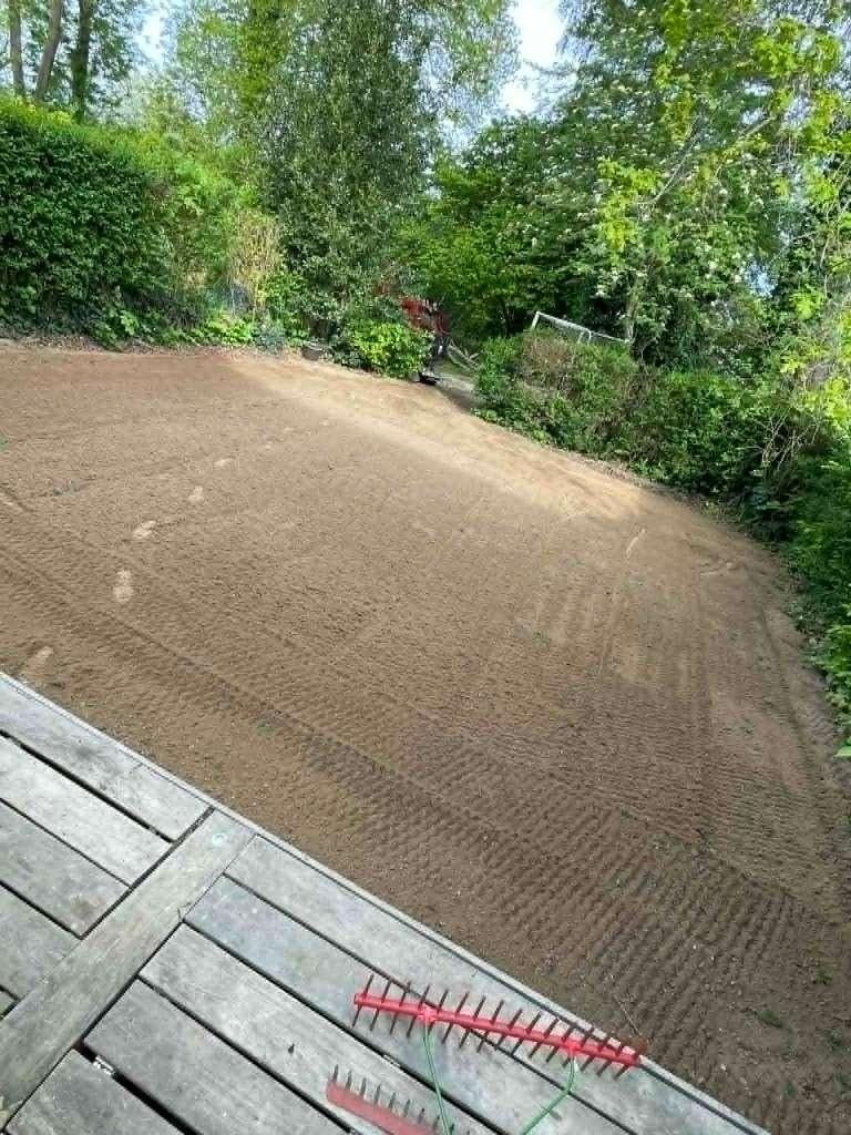 Pose de gazon en rouleau – Pelouse instantanée, Enlèvement, Neuf, 20 m² ou plus, Herbe