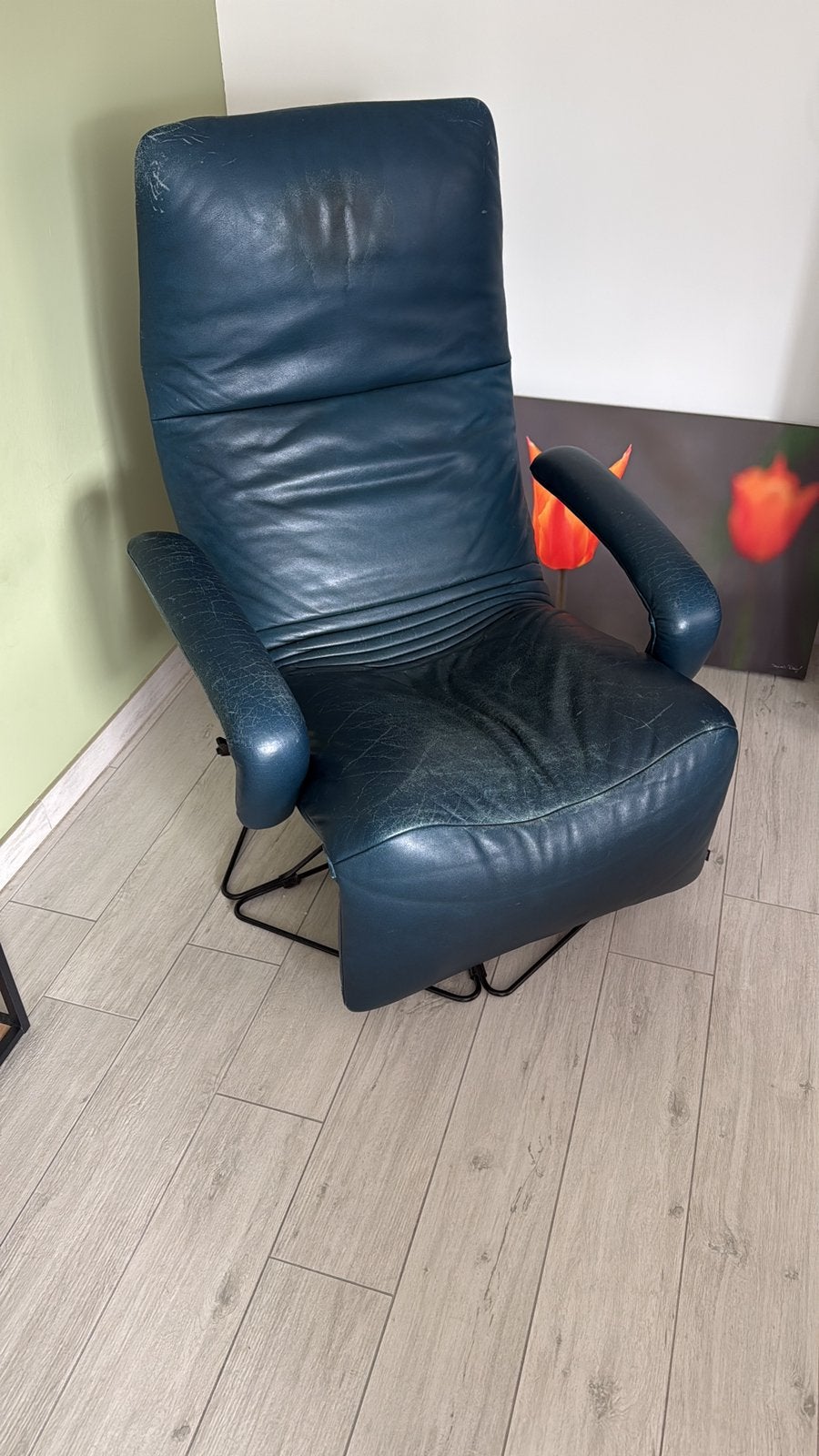 Gratis groene relax, Enlèvement, Utilisé, Cuir