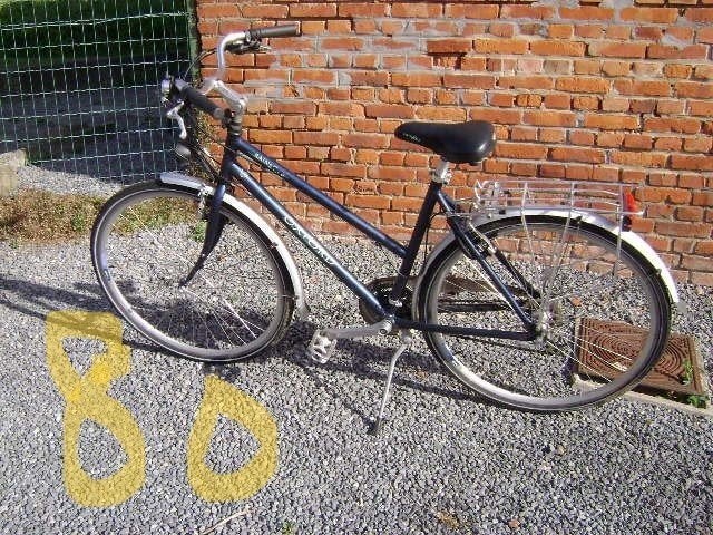 Dames-heren-kinderfietsen (Lot of apart) ., Fietsen en Brommers, Velgrem, Versnellingen, Zo goed als nieuw, Ophalen
