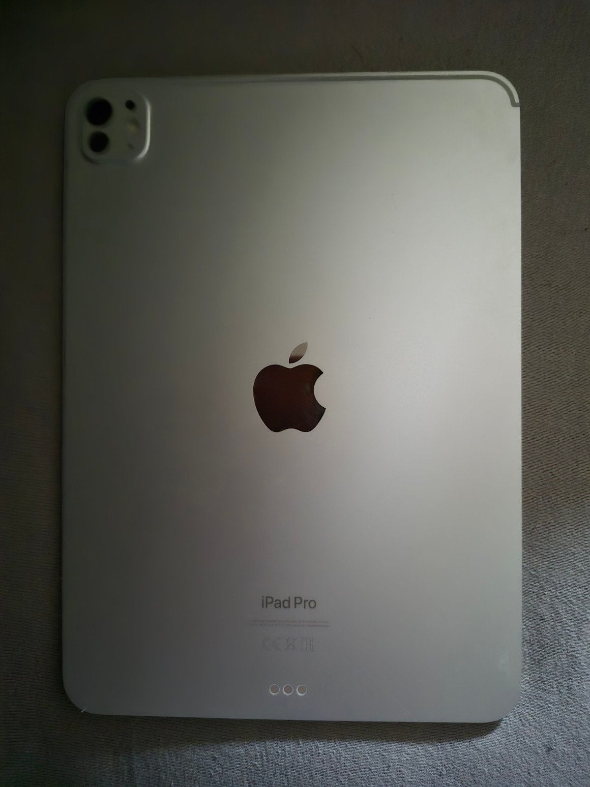 Ipad Pro 11 M4 argenté (2024) 256gb + wifi, Enlèvement ou Envoi