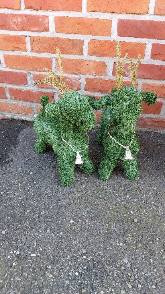 cerf de Noël, Enlèvement