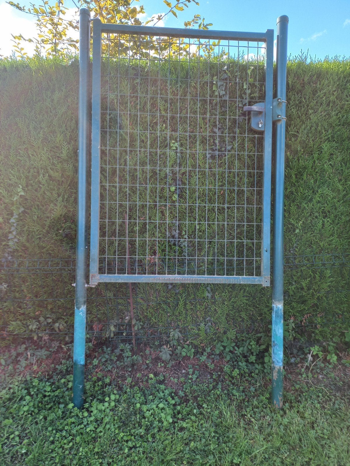 3 poorten van verschillende afmetingen, Tuin en Terras, Ophalen, Met poort, Gebruikt, Tuinhek
