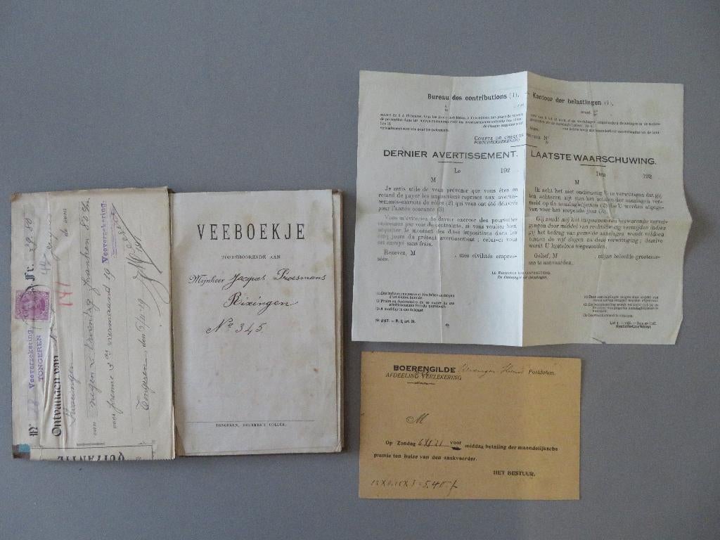 veeboekje + doc Jacques Proesmans Tongeren 1905-1925, Enlèvement ou Envoi, Autres types