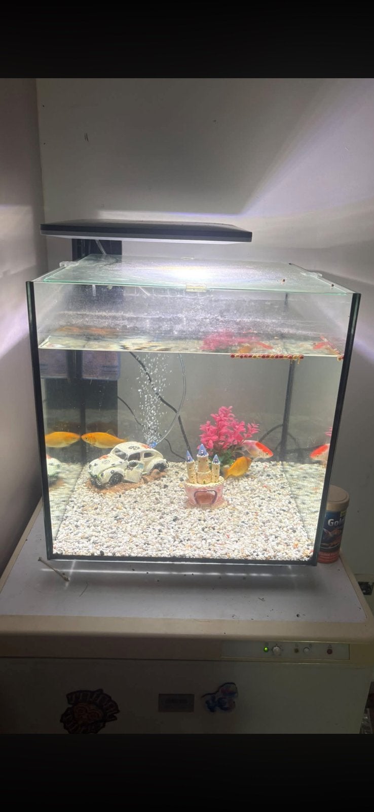 Aquarium, Ophalen of Verzenden, Zo goed als nieuw, Decoratie