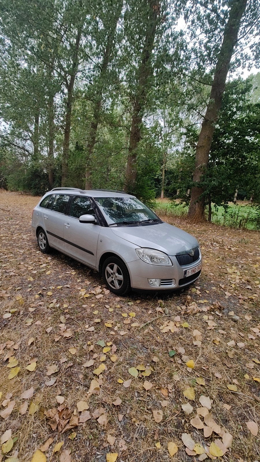 Skoda Fabia, Autos, Particulier, Achat, Fabia