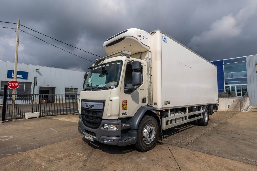 DAF LF55 250+CHEREAU+THERMO KING+DHOLLANDIA 1.5T (bj 2014), Auto's, Automaat, Achterwielaandrijving, Euro 6, Wit