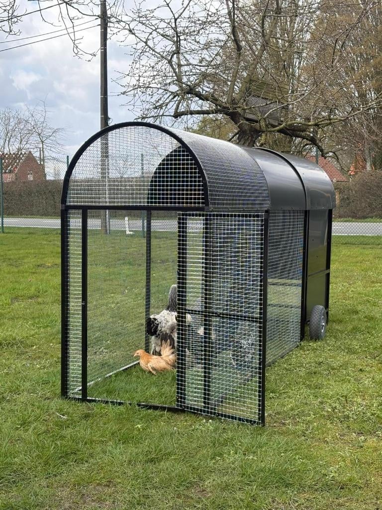 kippenren aluminium zwart large 2 meter, Ophalen