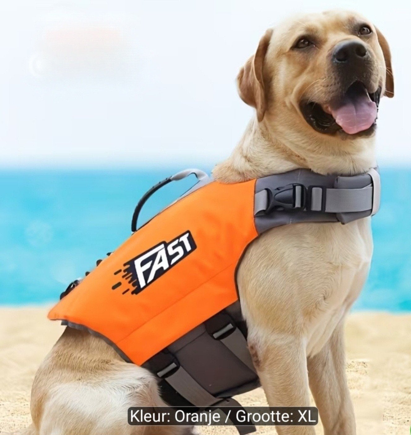 Zwemvest voor grote hond - Gilet de sauvetage pour grand chi, Enlèvement, Neuf, XL