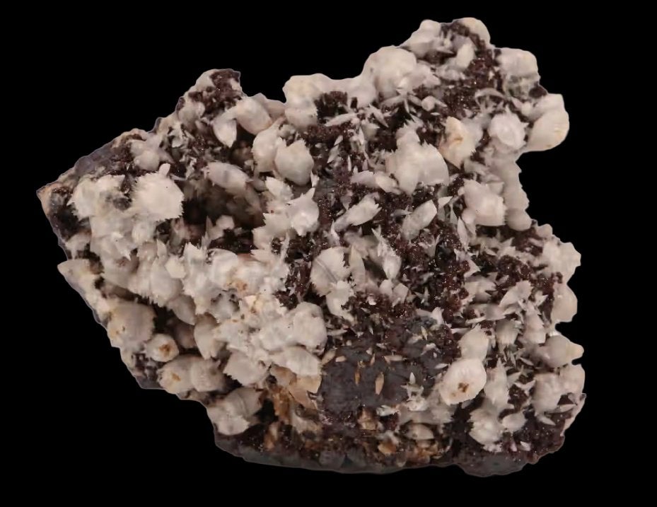 CALCIET op ANDRADIET uit de N'Chwaning II mijn, Zuid-Afrika., Verzamelen, Mineralen en Fossielen, Ophalen of Verzenden, Mineraal