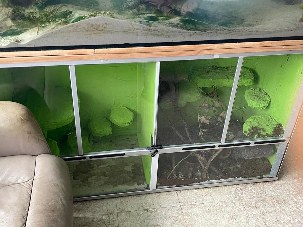 Dubbele Terrarium, Enlèvement, Comme neuf