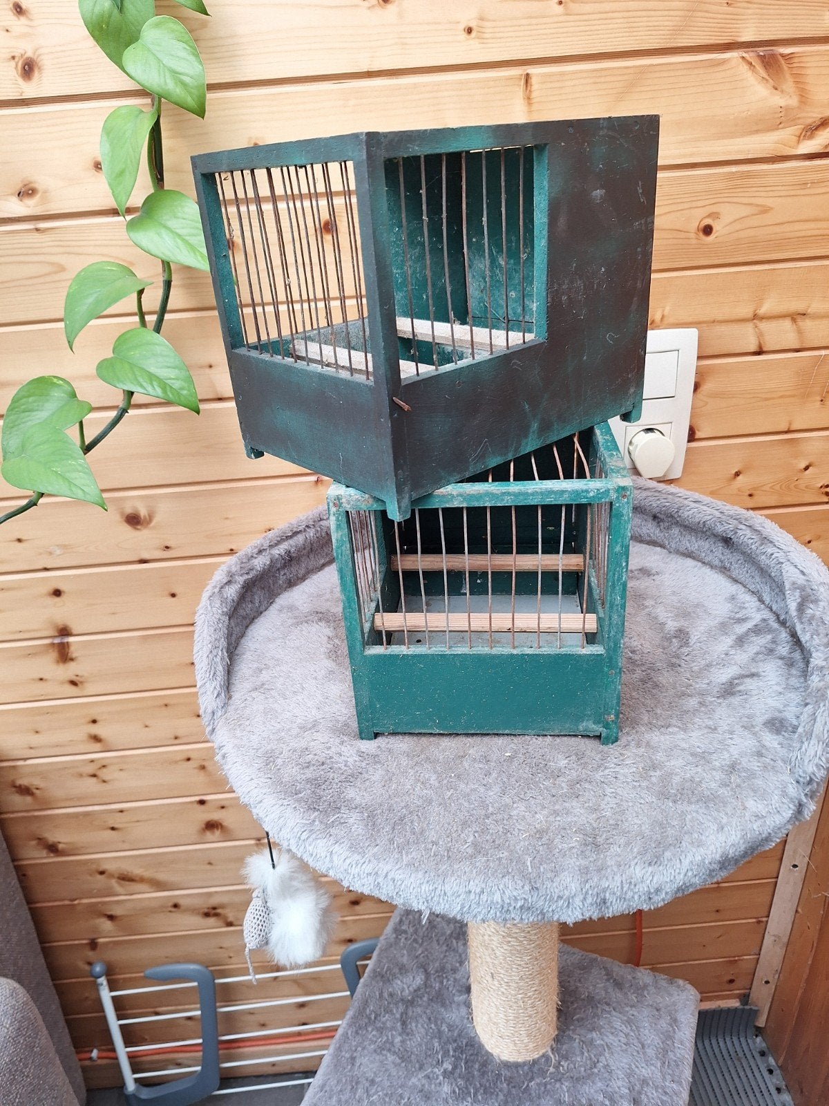 kooien, Dieren en Toebehoren, Ophalen