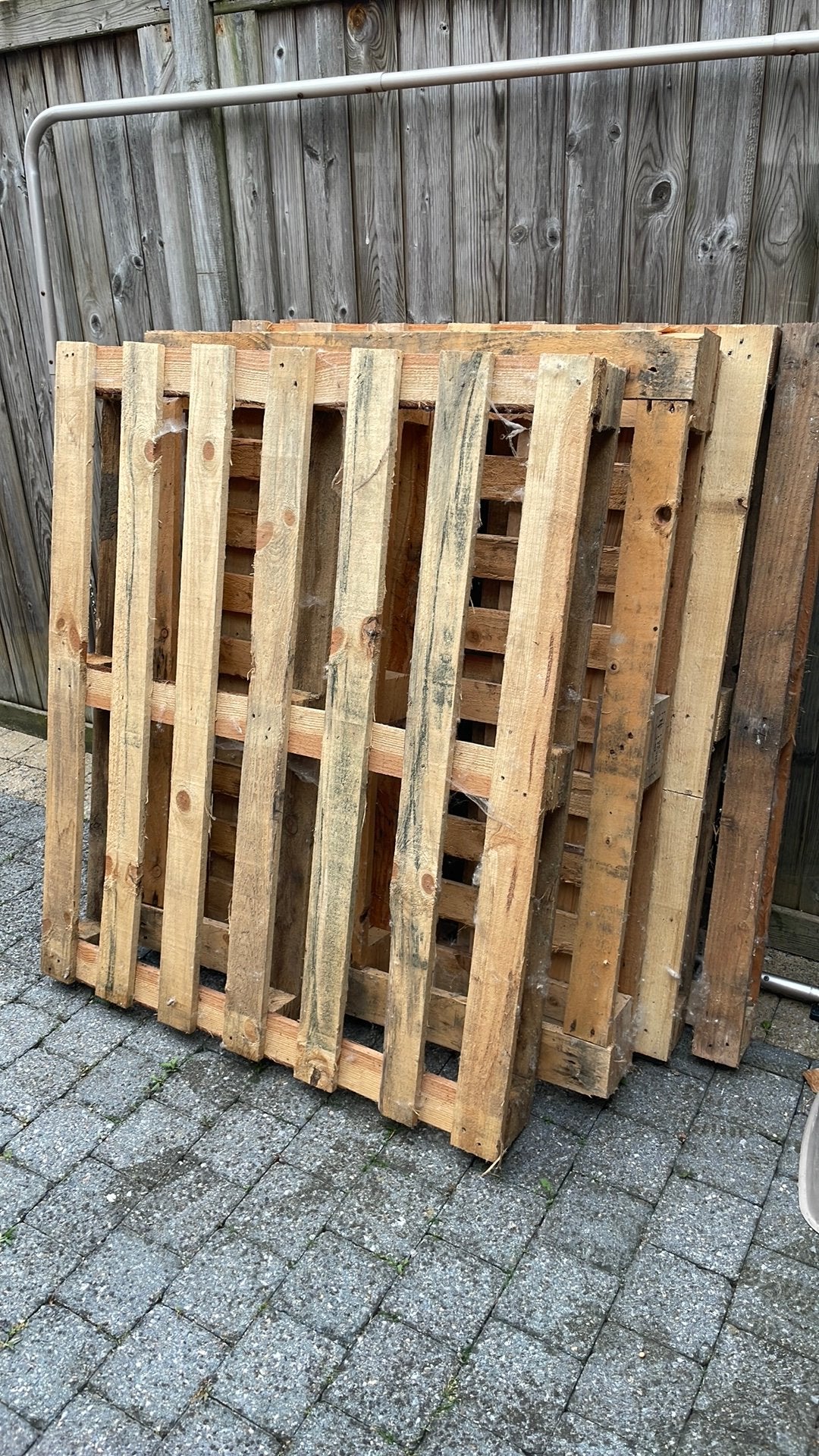 Gratis paletten af te halen te denderbelle, Ophalen, Zo goed als nieuw