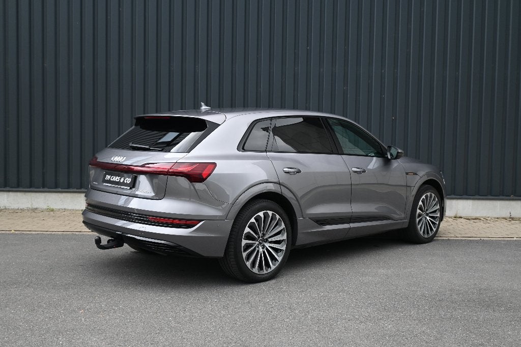 Audi E-tron 50 Quattro ACC, DCC, Cam, Trekh, Keyless, BTW, Auto's, Automaat, 230 kW, 1800 kg, https://public.car-pass.be/vhr/6f29f00b-5674-4d1f-9570-3465e821ea28