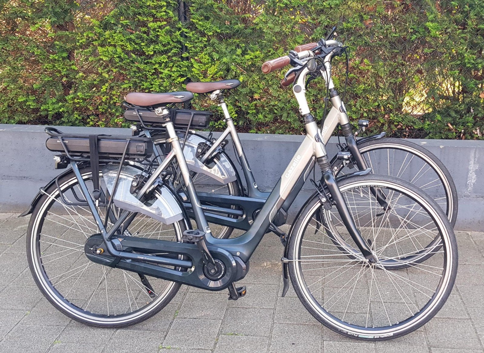 Twee elektrische Gazelle Middenmotor automatisch versnelling, Ophalen, Gazelle