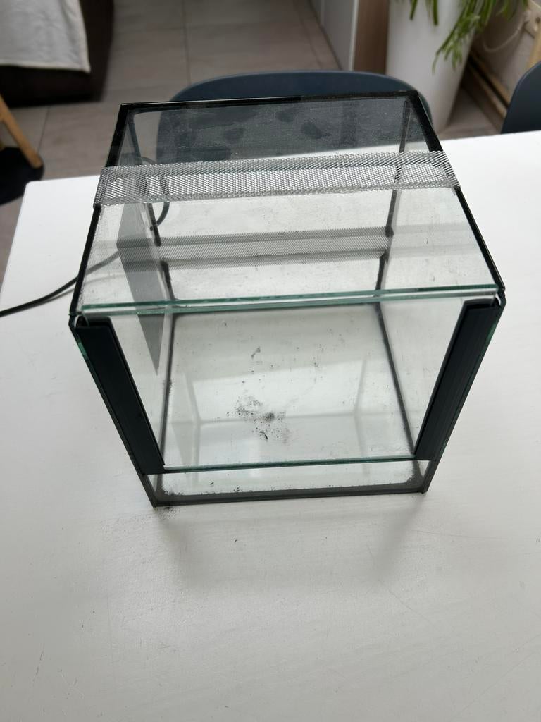 Terrarium, Dieren en Toebehoren, Ophalen, Zo goed als nieuw, Terrarium of Paludarium