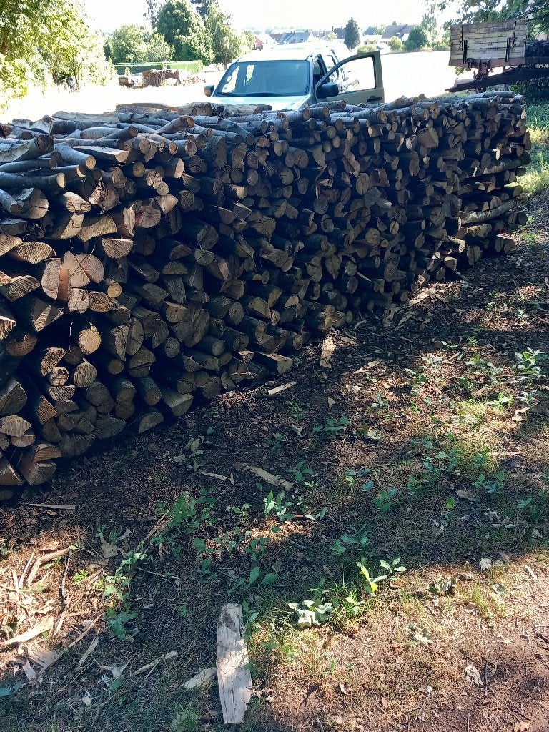 5 stères hêtre  en 1m...., Jardin & Terrasse, Bois de chauffage, 3 à 6 m³, Enlèvement, Hêtre, Bûches