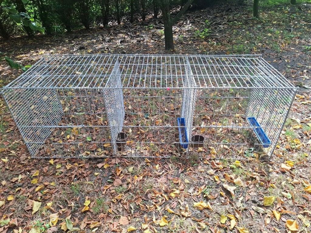 Tentoonstellingskooi pluimvee, Dieren en Toebehoren, Pluimvee | Toebehoren, Ophalen, Gebruikt, Kippenhok of Kippenren