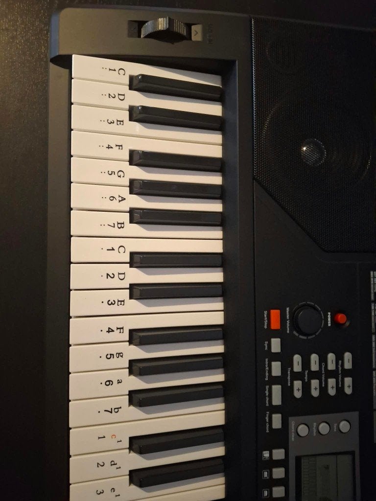 Keyboard pro. Max Raphsody 61P, Muziek en Instrumenten, 61 toetsen, Zo goed als nieuw, Aanslaggevoelig, Ophalen