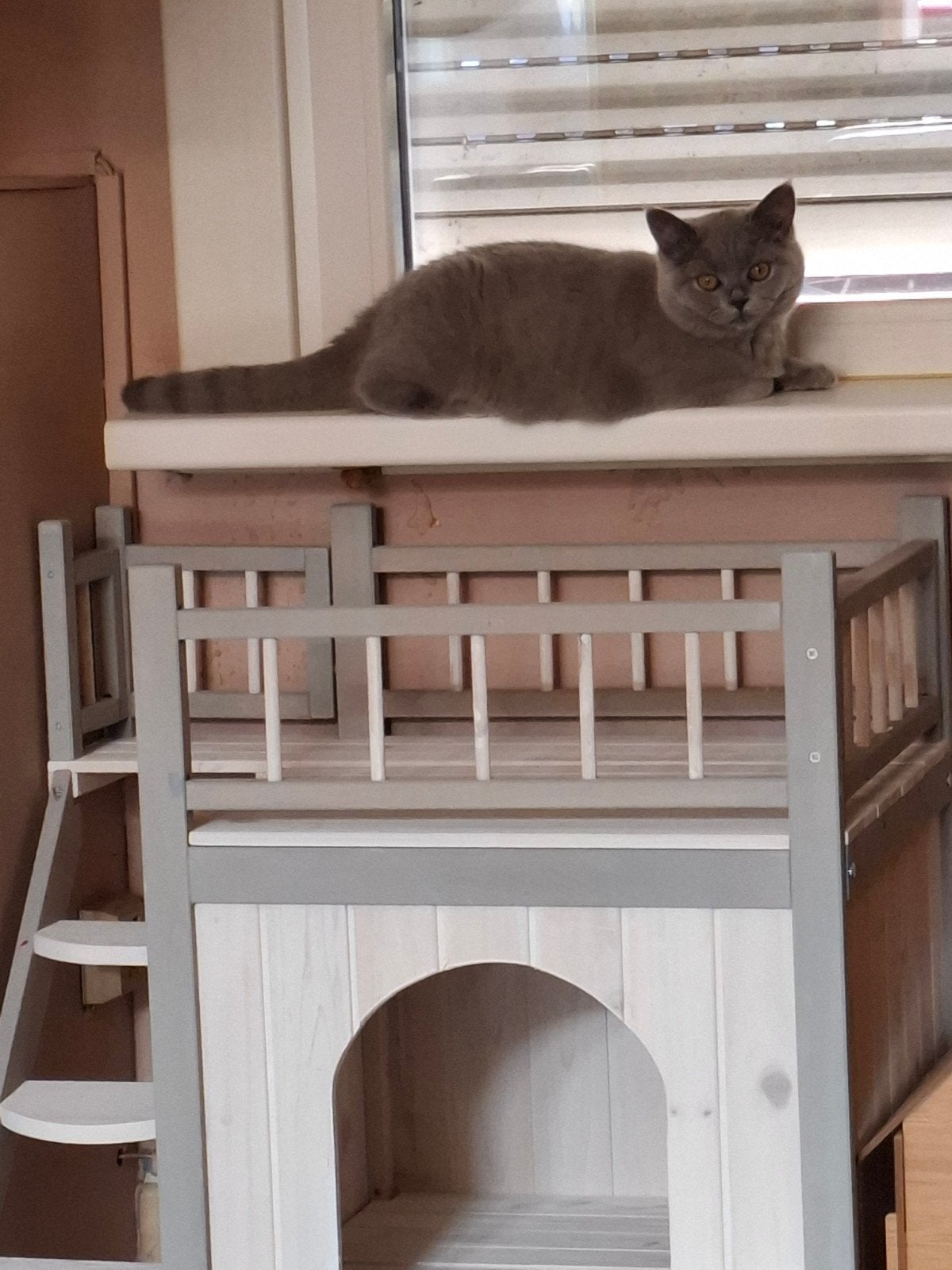 kattenhuisje, Dieren en Toebehoren, Ophalen, Zo goed als nieuw, Overige
