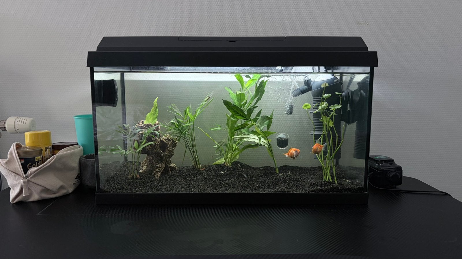 Juwel 60 aquarium compleet, Dieren en Toebehoren, Ophalen, Zo goed als nieuw, Decoratie, Juwel
