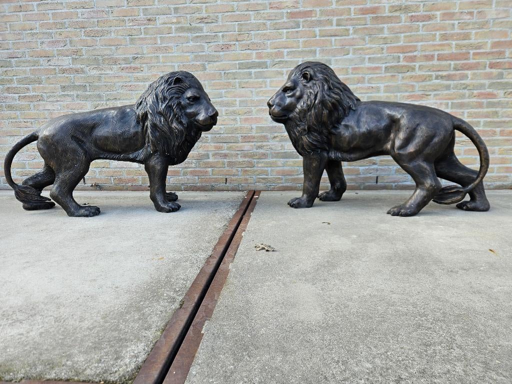 Bronzen koppel staande leeuwen an zéér lage prijs weg is weg, Ophalen of Verzenden, Nieuw, Overige materialen, Dierenbeeld