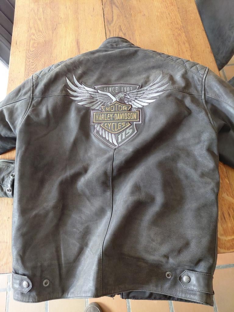 Veste Harley davidson, Enlèvement