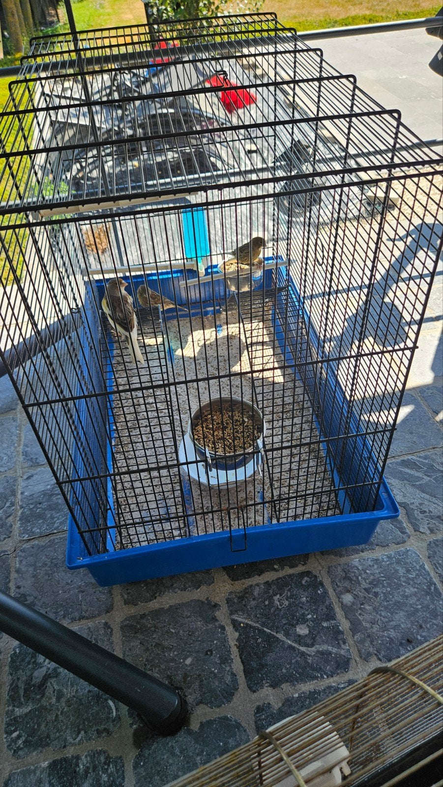 cage, Ophalen