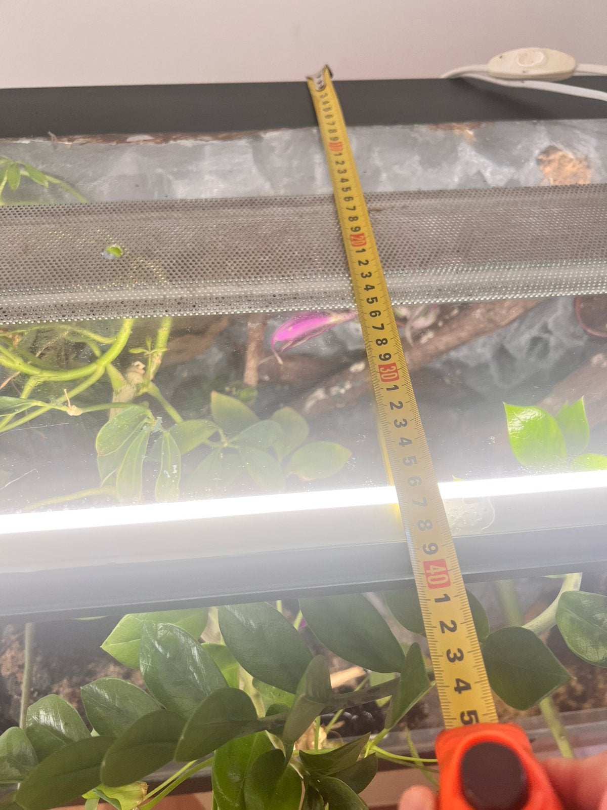 Paludarium compleet, Ophalen, Zo goed als nieuw, Terrarium of Paludarium