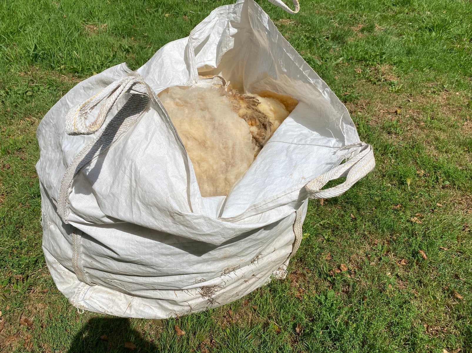 Lot schapenwol van Texelschapen, fijne lange wol, Dieren en Toebehoren
