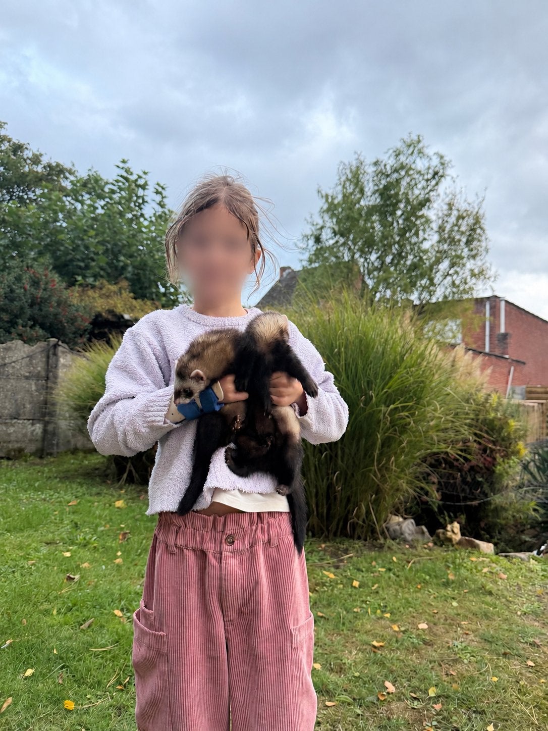 2 fretten rammetjes, Dieren en Toebehoren, Juli, Mannelijk