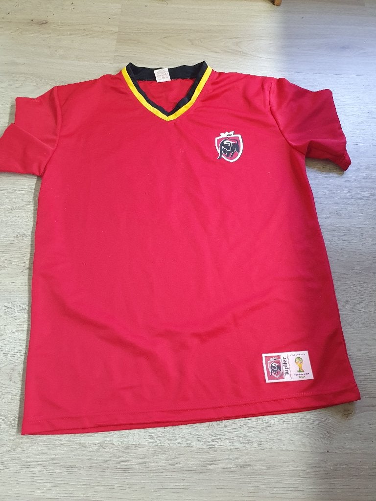 Voetbal truitje, Sport en Fitness, Voetbal, Maat L, Ophalen of Verzenden, Zo goed als nieuw, Shirt