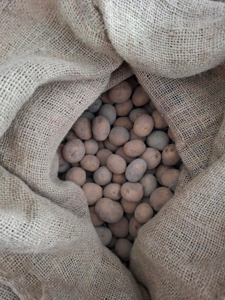 Pootgoed Fontane, Ophalen