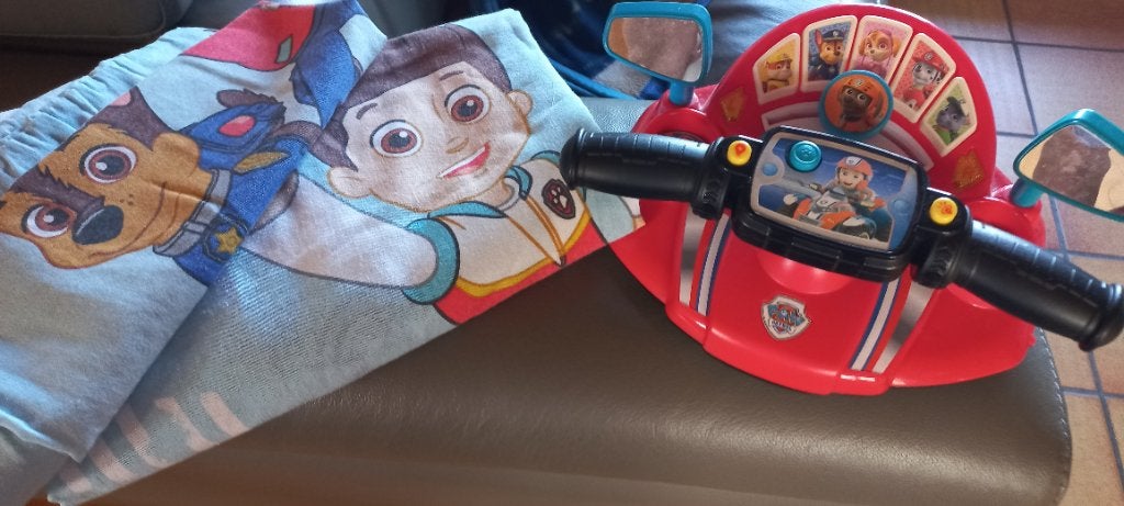 Stuurtje paw patrol, Enlèvement
