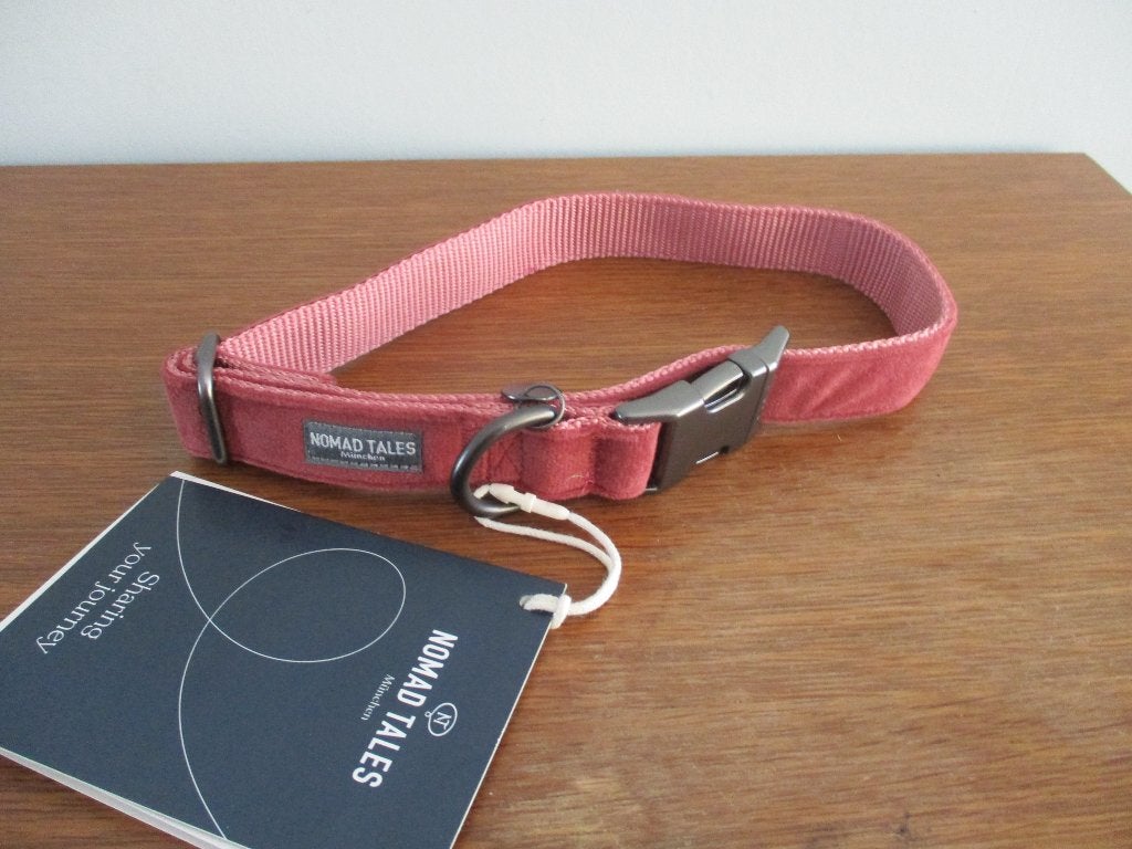 halsband voor hond, Ophalen of Verzenden, Nieuw