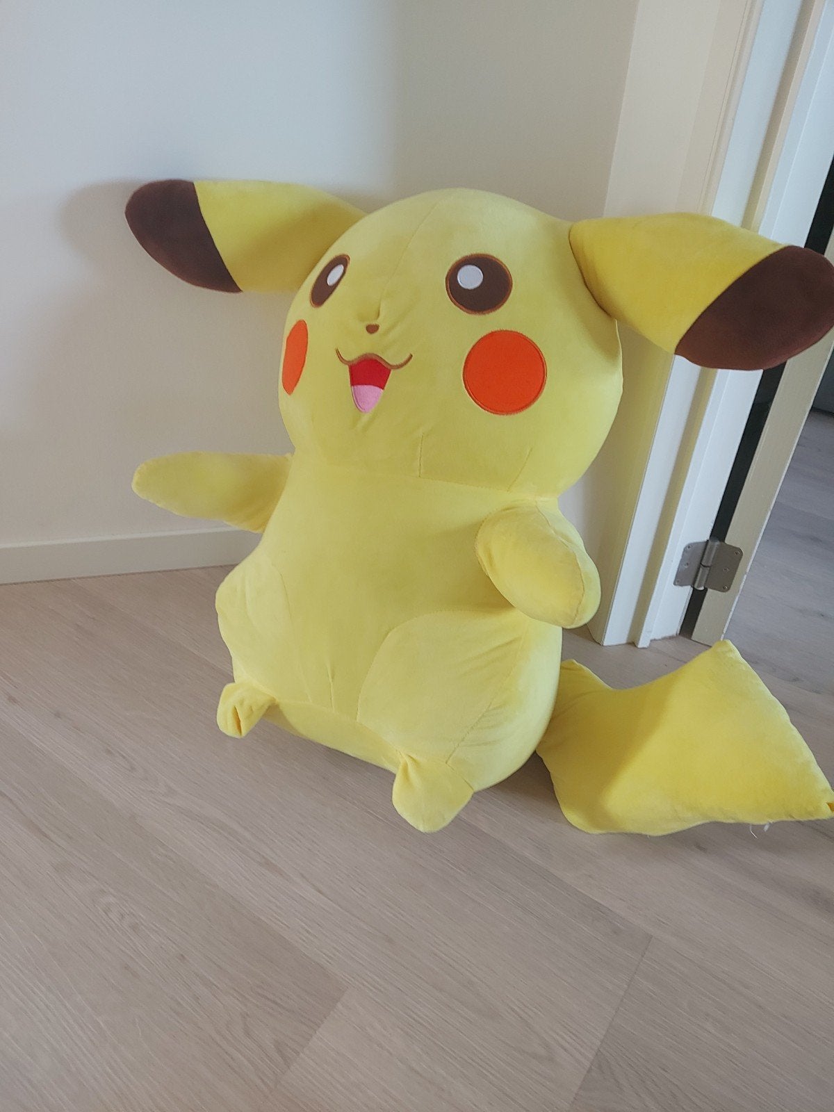 Grote Pokémon knuffel, Ophalen