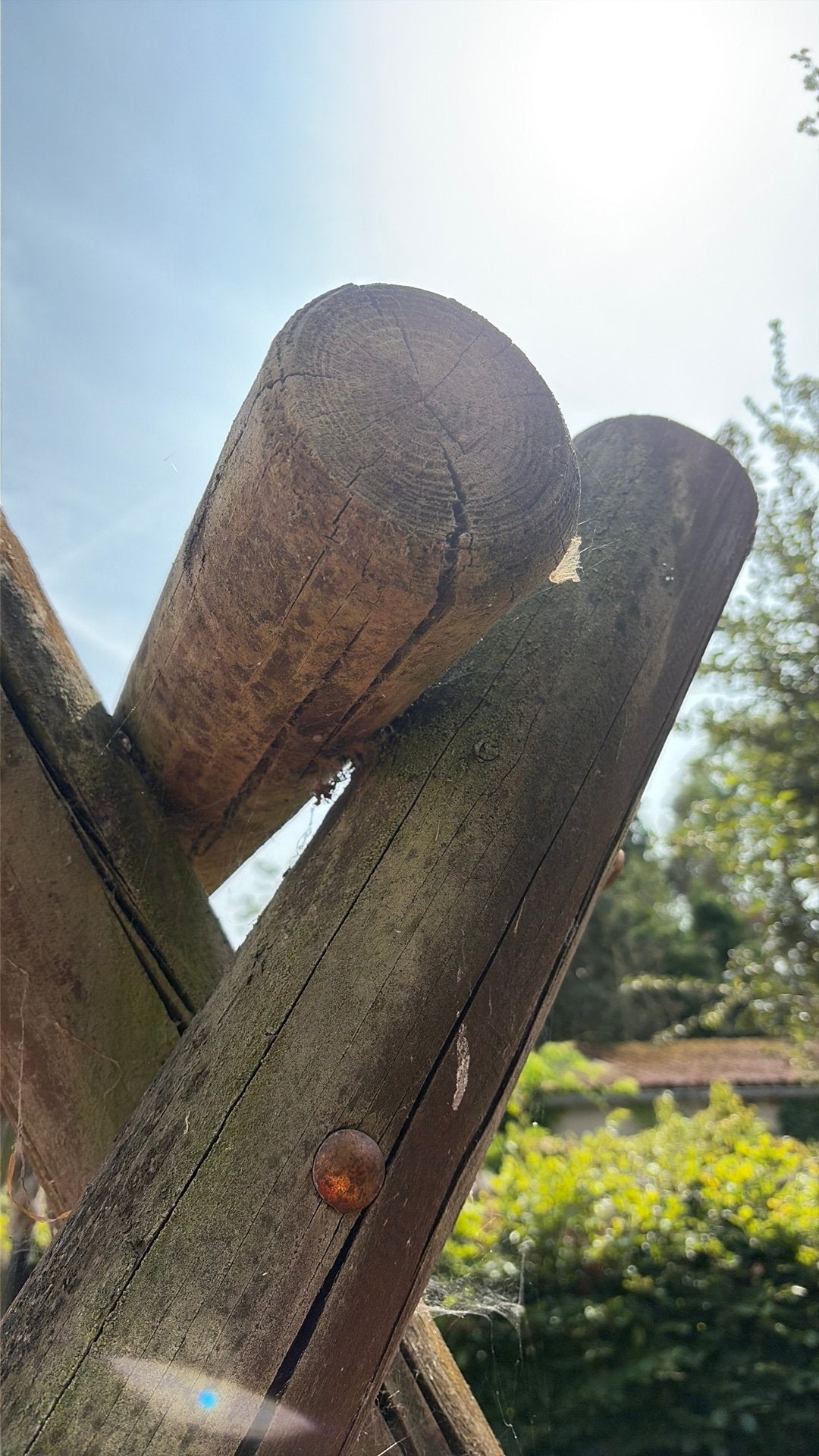 Stevige houten dubbele schommel, Ophalen, Gebruikt, Schommel