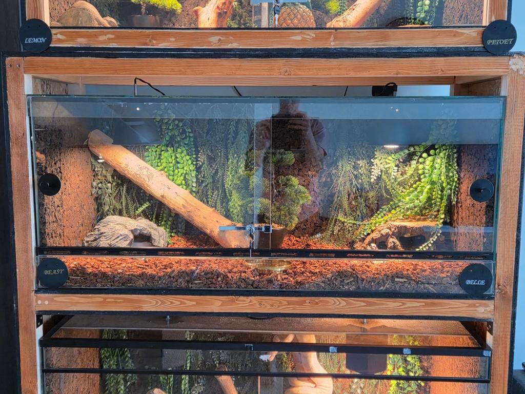 Terrarium, Ophalen