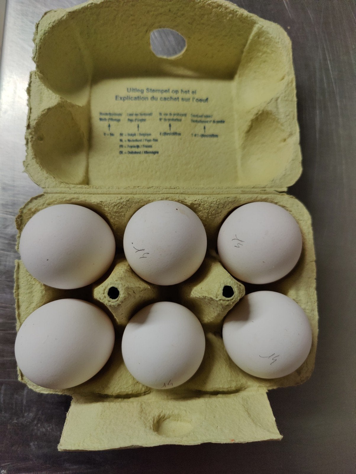 Broedeieren raszuivere witte leghorn