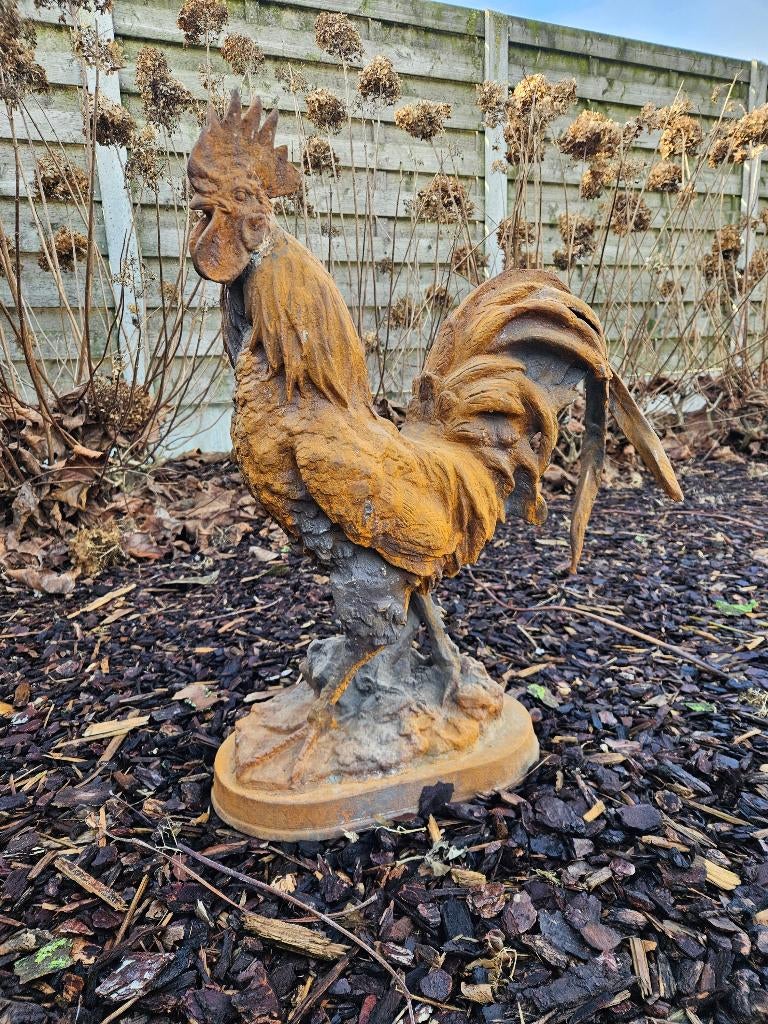 Zeer mooie grote gietijzeren haan 65 cm hoog en 35 kg !!!, Tuin en Terras, Tuinbeelden, Ophalen of Verzenden, Zo goed als nieuw