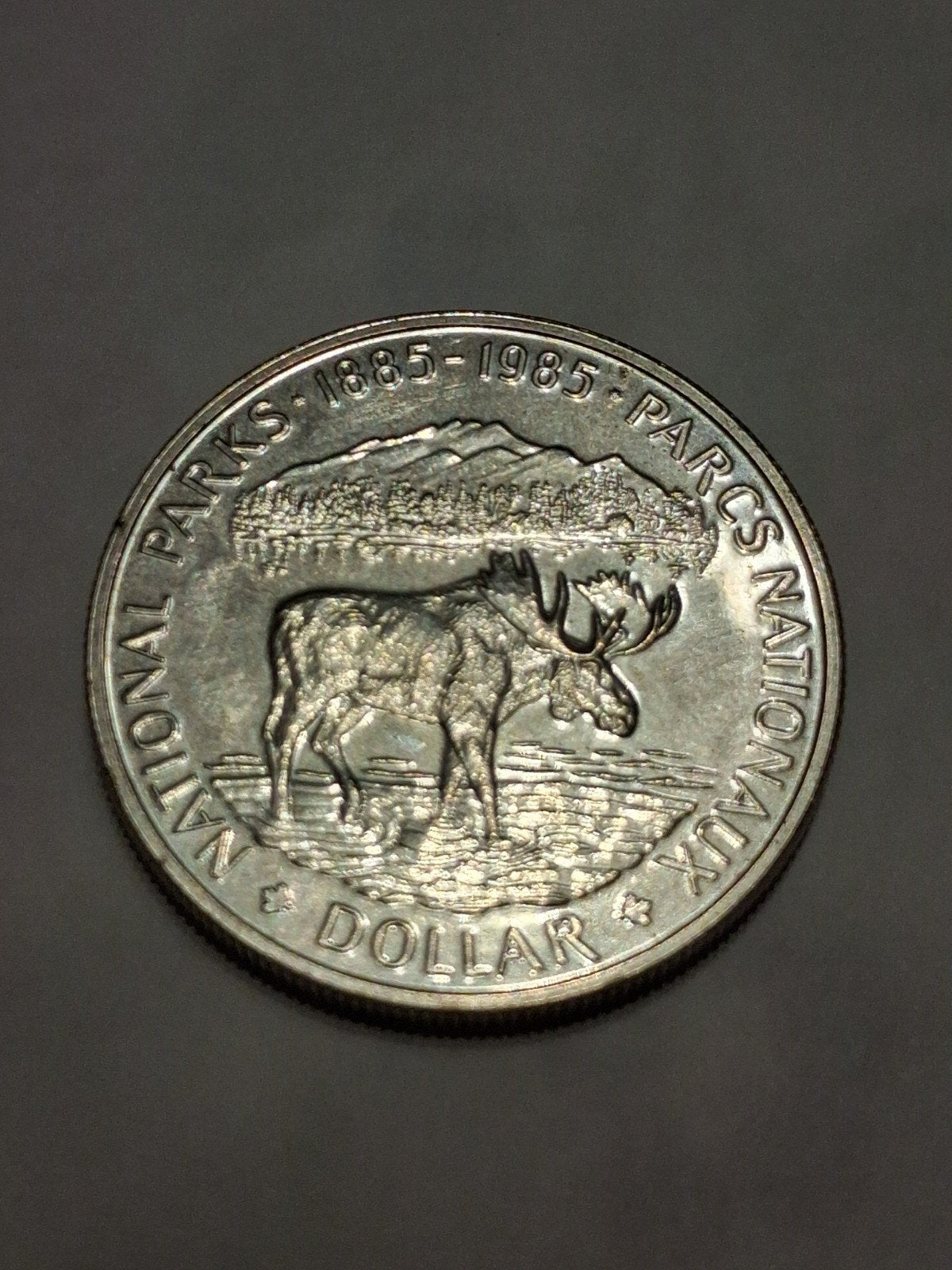 Canadese zilveren dollar 1985, Ophalen of Verzenden